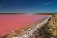 AUS - Pink Lake o3178